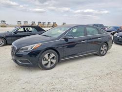 Hyundai salvage cars for sale: 2016 Hyundai Sonata Plug-in Hybrid