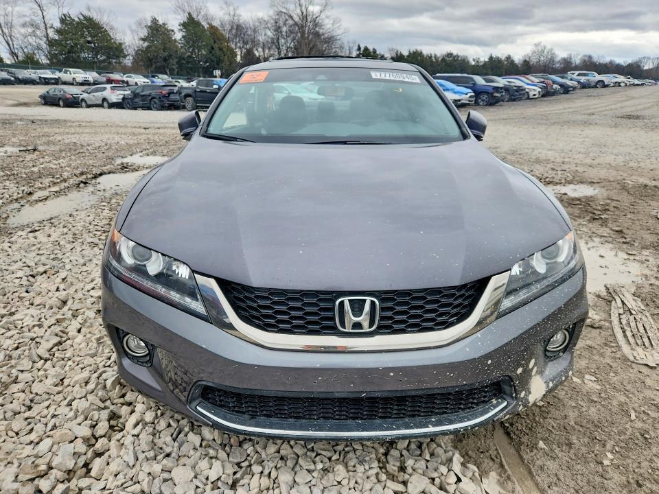 2013 Honda Accord exl