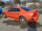 2004 Ford Mustang