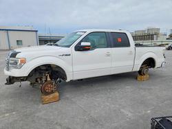 Salvage Trucks for sale at auction: 2013 Ford F150 Supercrew