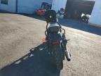 2021 Harley-Davidson XL883 N