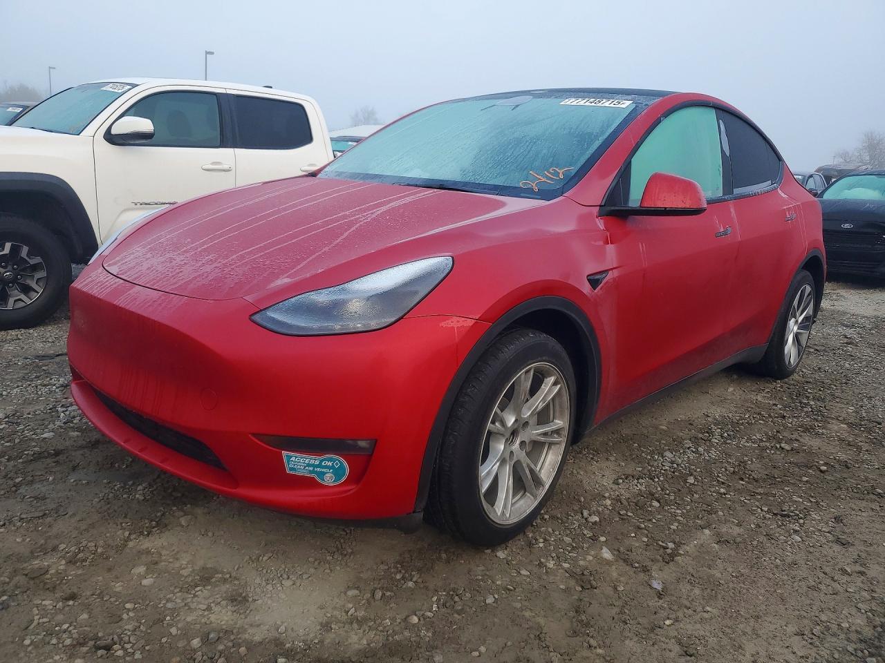 2023 Tesla Model y