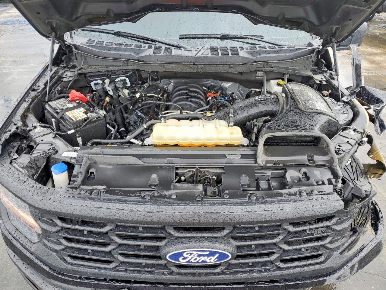2025 Ford F150 XL