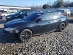 2019 Niss Maxima
