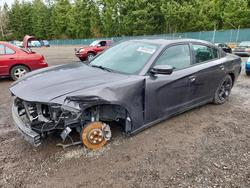 Dodge Vehiculos salvage en venta: 2019 Dodge Charger sxt