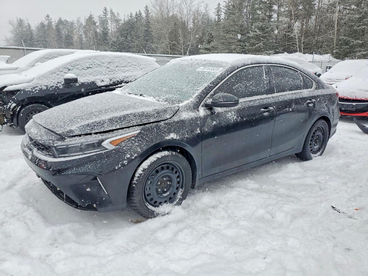2024 KIA Forte ex