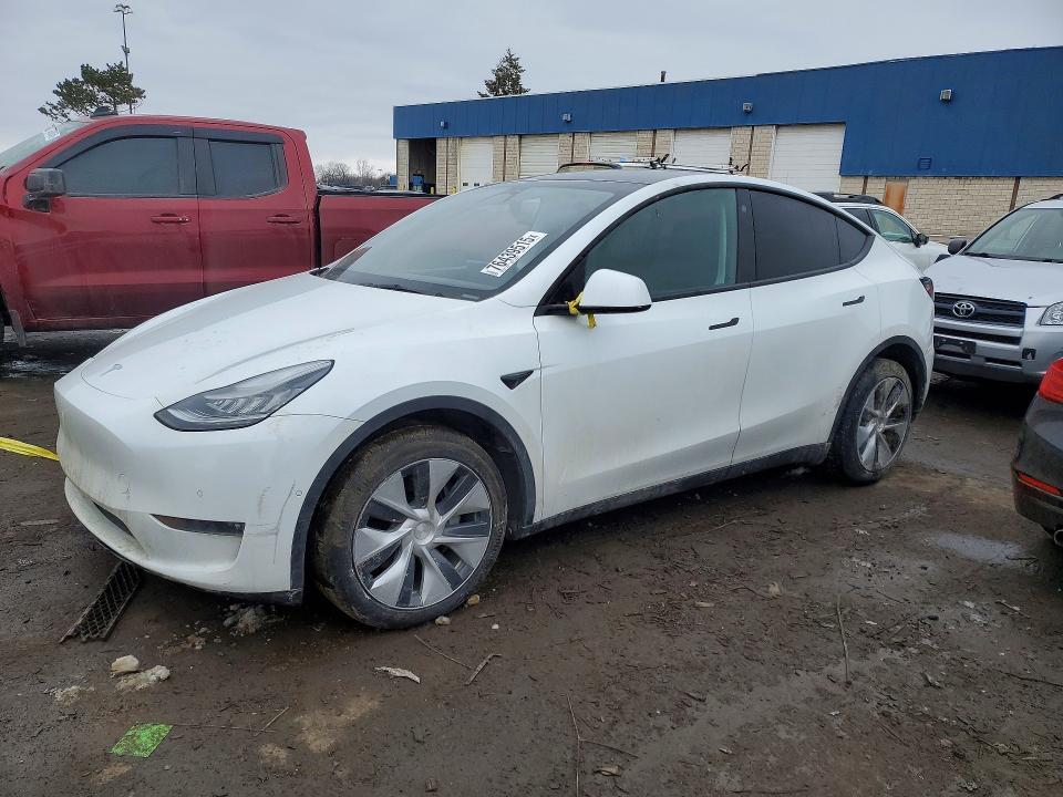 2021 Tesla Model y