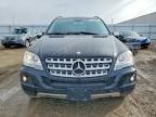 2009 Mercedes-Benz Ml 350