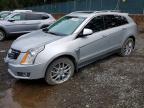 2013 Cadillac Srx Premium Collection