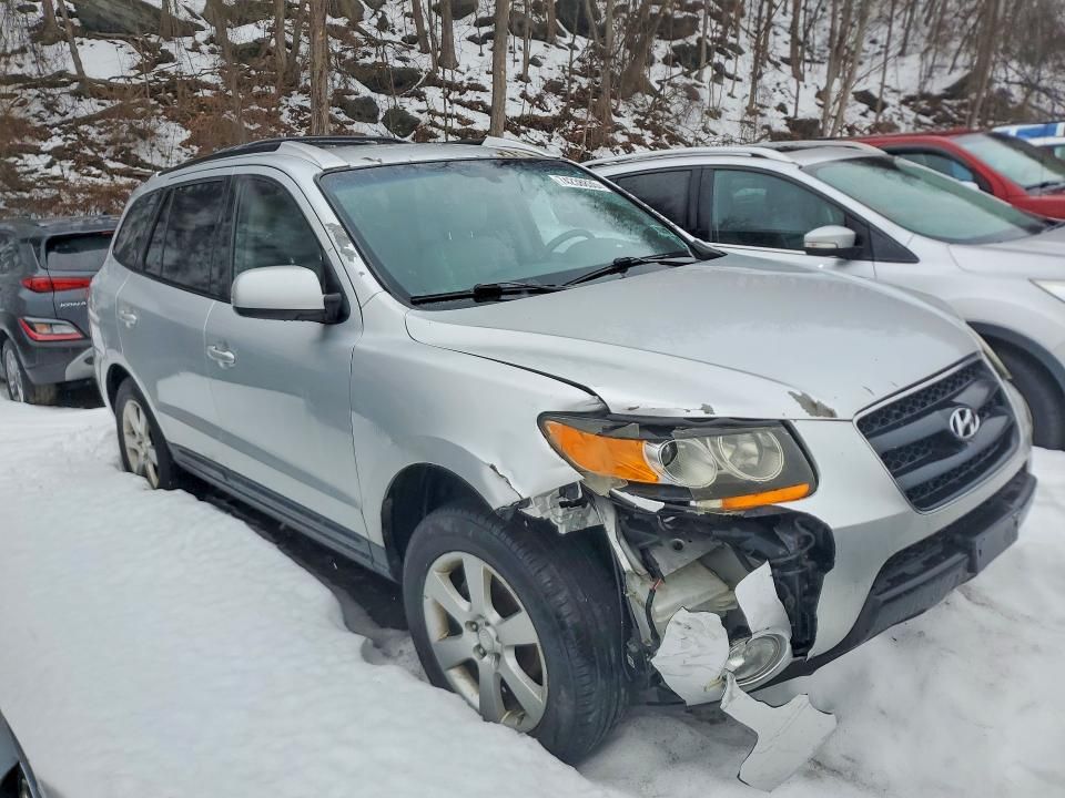 2009 Hyundai Santa fe se