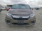 2019 Honda Odyssey exl