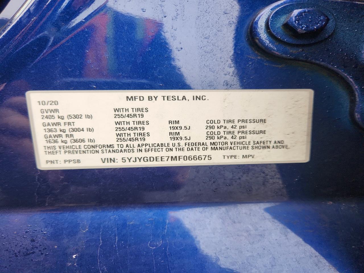 2021 Tesla Model y
