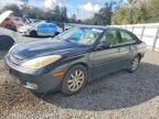 2003 Lexus Es 300