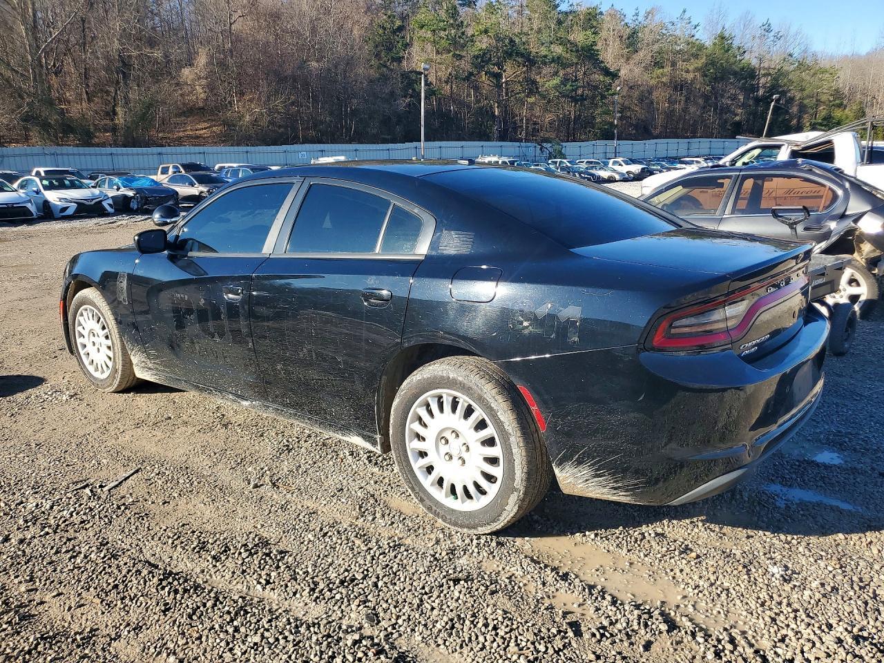2018 Dodge Charger Police
