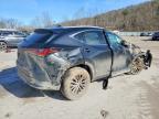 2025 Lexus NX