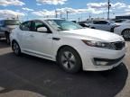 2013 KIA Optima Hybrid