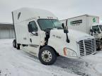 2016 Freigliner Cascadia 125