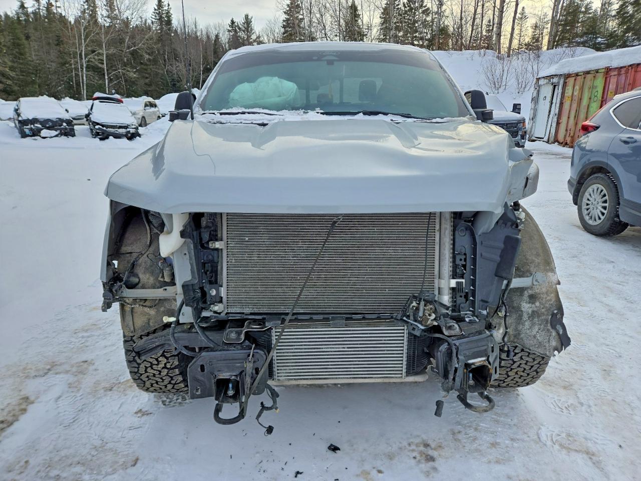 2024 Ford F150 xlt