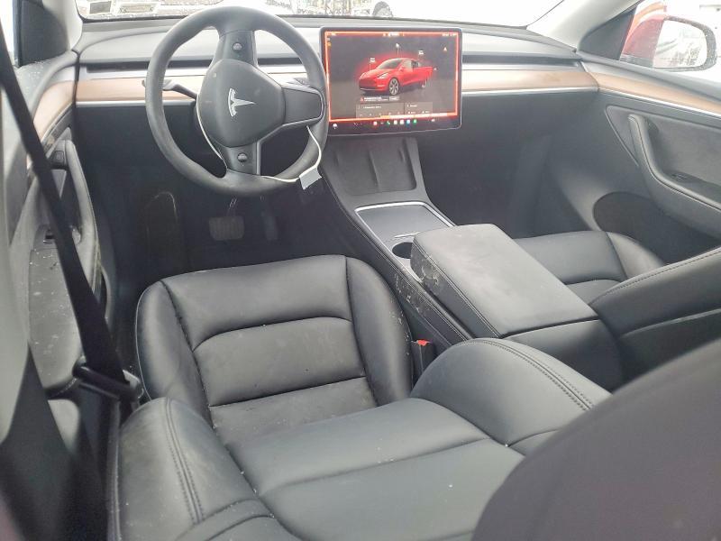 2025 Tesla Model y
