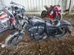 2021 Harley-Davidson XL883 N
