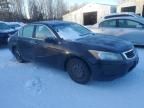 2010 Honda Accord ex