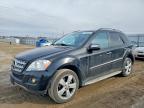 2009 Mercedes-Benz Ml 350