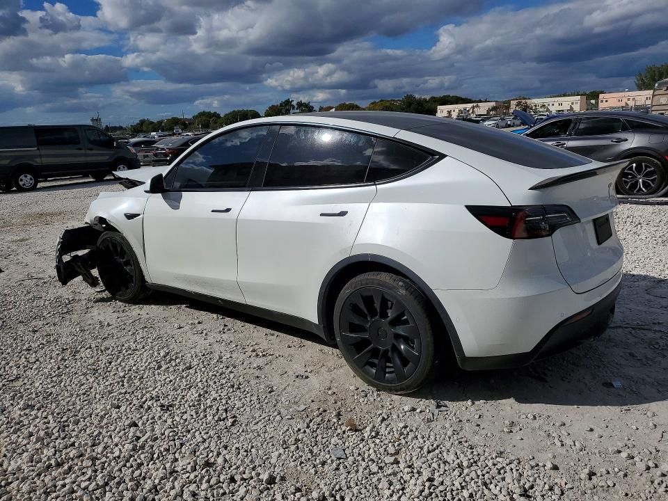 2020 Tesla Model y