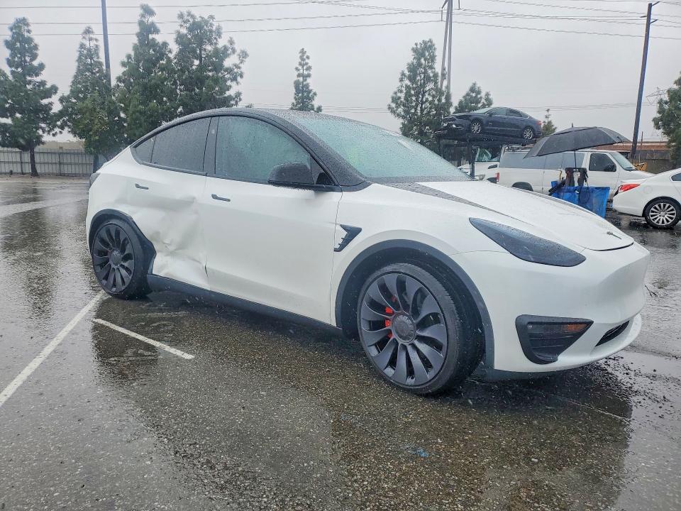 2025 Tesla Model y