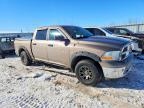 2009 Dodge Ram 1500