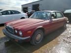 1982 Jaguar XJ6