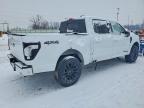 2025 Ford F150 xlt