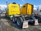 2023 Peterbilt Tractor 389-Semi Truck