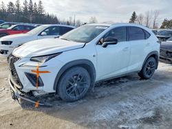 Lexus nx salvage cars for sale: 2018 Lexus Nx 300 Base