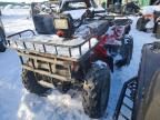 2003 Honda TRX450 FE