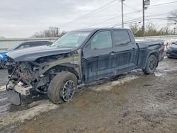 Salvage trucks for sale at Hillsborough, NJ auction: 2022 Toyota Tundra SR5