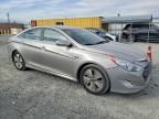2013 Hyundai Sonata Hybrid