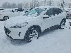 2020 Ford Escape se en venta en Central Square, NY