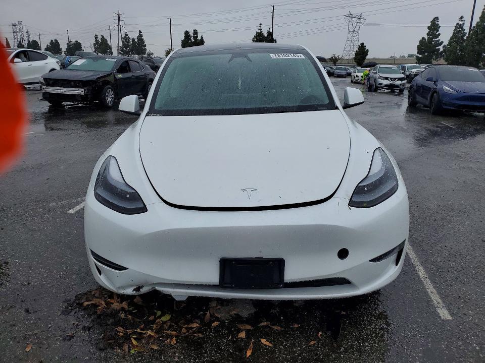 2025 Tesla Model y