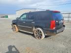 2008 Cadillac Escalade Luxury