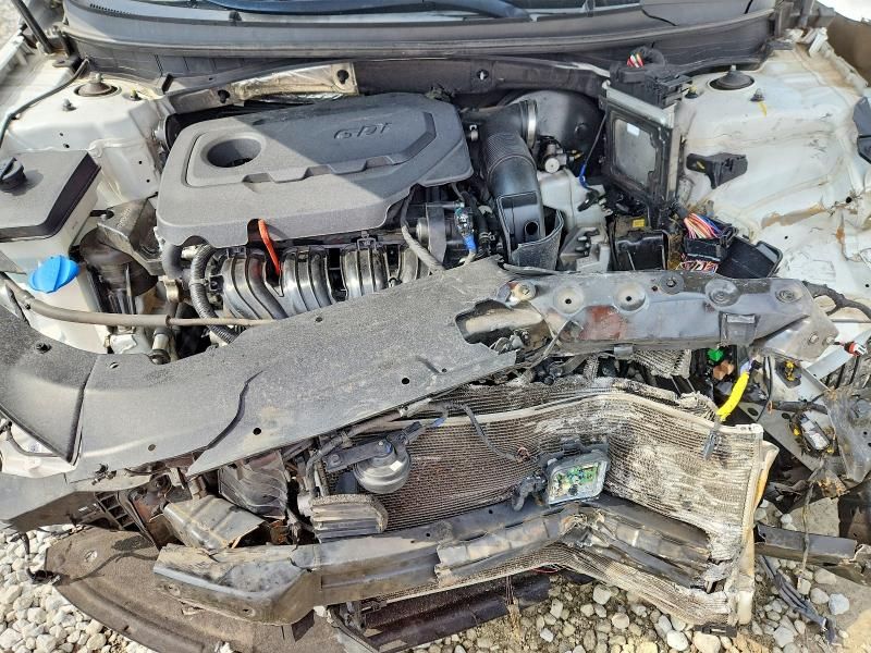 2019 Hyundai Sonata sel