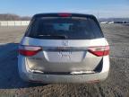 2013 Honda Odyssey lx