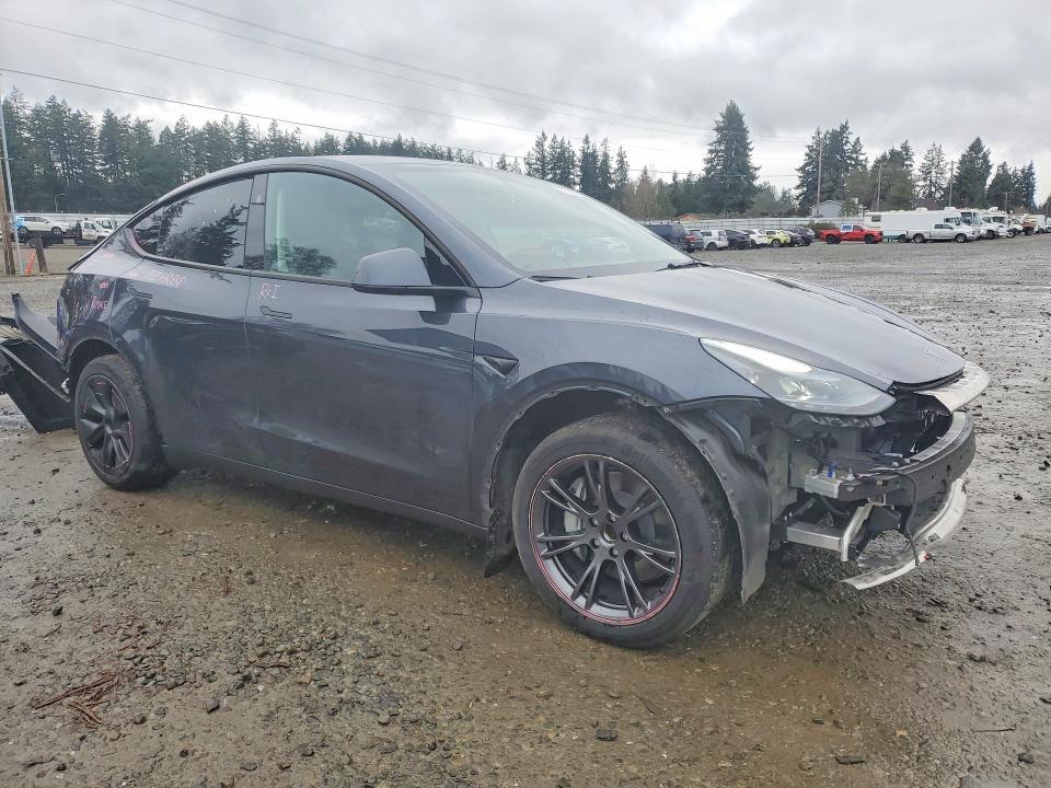 2025 Tesla Model y