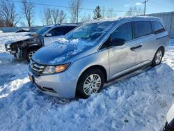 Honda salvage cars for sale: 2014 Honda Odyssey lx