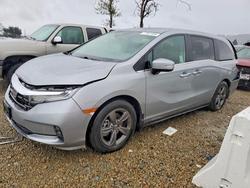 Honda salvage cars for sale: 2024 Honda Odyssey ex
