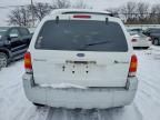 2006 Ford Escape hev