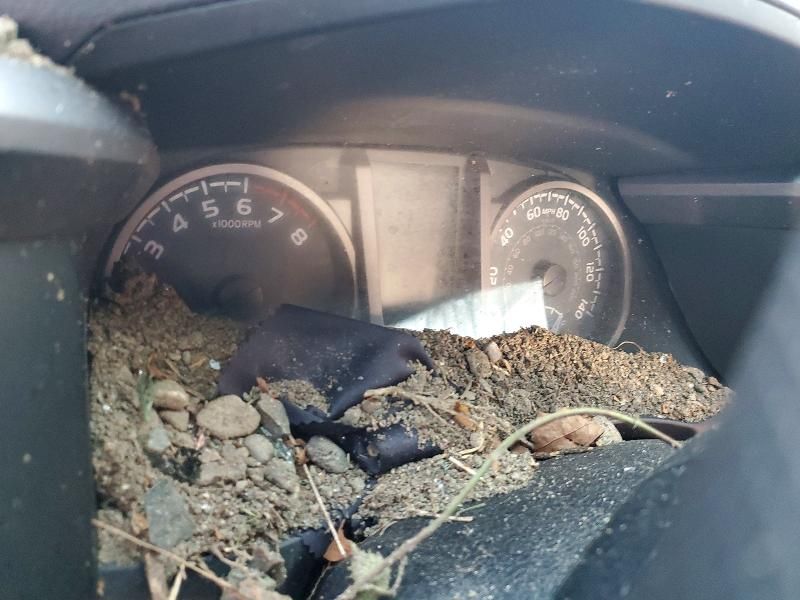 2020 Toyota Tacoma Double cab