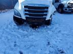 2019 Freightliner Cascadia 126 Semi Truck