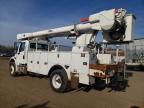 2015 Freigliner 2015 Freightliner Business Class M2 Bucket Truck