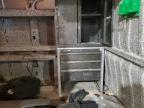2023 Dodge RAM Promaster 3500 3500 High