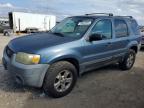 2005 Ford Escape xlt